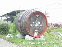 DSC00416.JPG