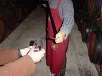 DSC00435.JPG