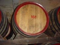 DSC00436.JPG