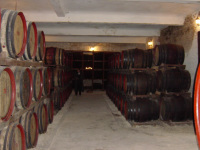 DSC00437.JPG