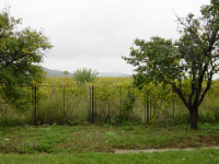 DSC00438.JPG