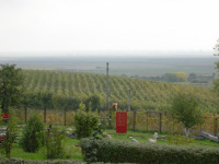 DSC00443.JPG